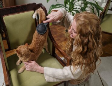 woman sitting in a green chair and brushing an orange cat to help reduce shedding